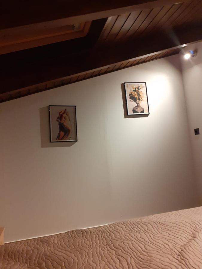 The View Attic Apartment Ioannina Exterior foto